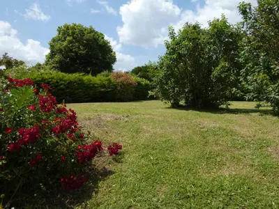 Jardin de l'établissement Gîte Val de Loire 