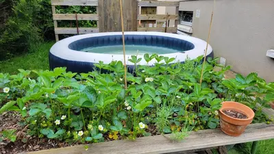 Jardin de l'établissement Maison 24h du Mans