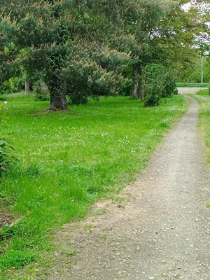 Jardin de l'établissement Chez NATHALIE