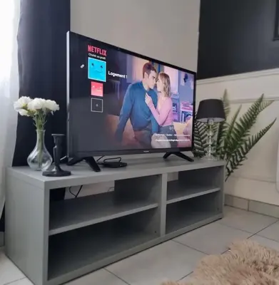 Télévision ou salle de divertissement dans l'établissement Maison aux portes de Tours