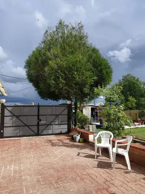 Jardin de l'établissement Gîte : Le Castel des Anges