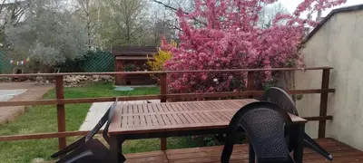 Jardin de l'établissement L'Olivier