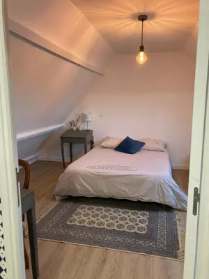 Un ou plusieurs lits dans un hébergement de l'établissement Le Nid - Maison accueillante avec accès donnant sur le Cher