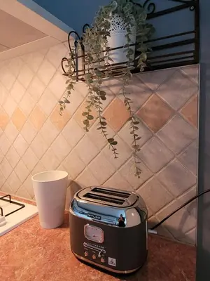 Cuisine ou kitchenette dans l'établissement La maison aux iris