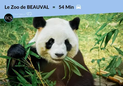 Animaux dans l'appartement ou à proximité