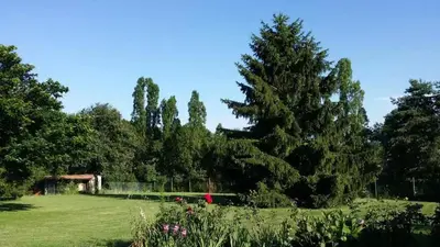 Jardin de l'établissement Maison confortable avec jacuzzi à Mareuil-sur-Cher