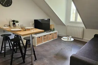 Télévision ou salle de divertissement dans l'établissement Lakanal 9 - Appart Prébendes Tours
