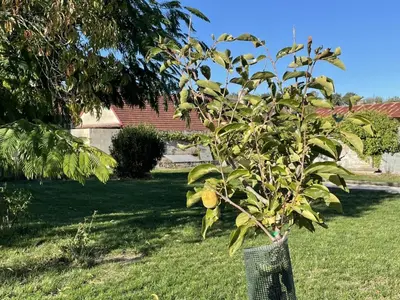 Jardin de l'établissement Gîte élégant avec grand jardin privé, idéalement situé près des châteaux et activités, tout inclus - FR-1-491-358