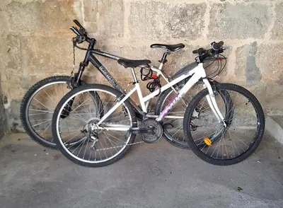 Vélo sur le terrain de l'établissement La Maison Douessine - Hyper Centre Doué La Fontaine - WIFI gratuit -Proche Bioparc Zoo ou dans les environs