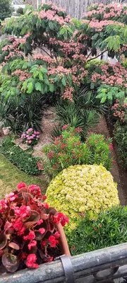 Jardin de l'établissement agréables chambres d'hôtes près du centre ville avec jardin