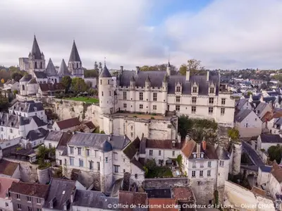 Vue générale sur La Chapelle-Blanche-Saint-Martin ou vue de la ville depuis l'hôtel