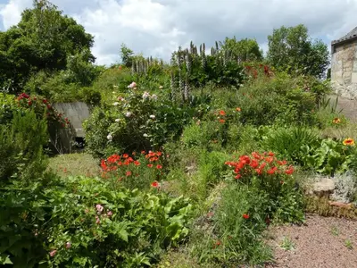 Jardin de l'établissement Gîte Val de Loire L'instant famille