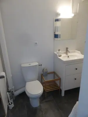 Salle de bains dans l'établissement Studio calme au coeur de Tours