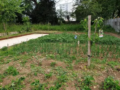 Jardin de l'établissement La vie est un reve