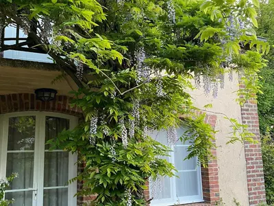 Jardin de l'établissement Chambre d'hôtes spacieuse et tranquille avec parking privé - FR-1-410-446