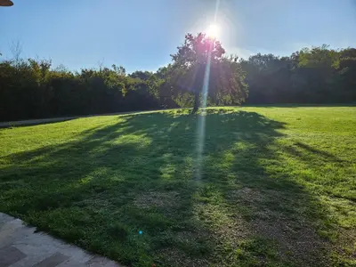 Jardin de l'établissement Le chalet