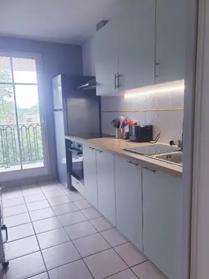 Cuisine ou kitchenette dans l'établissement Location Blois