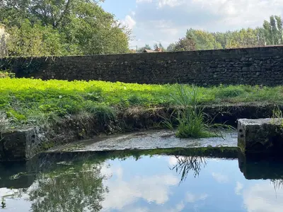 Paysage naturel près de la maison de vacances