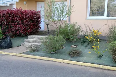 Jardin de l'établissement Danielle PICARDA