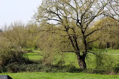 Paysage naturel près de l'appartement
