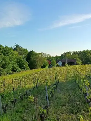 Paysage naturel près de la maison de vacances