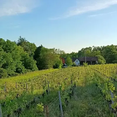 Gîte au milieu des vignes