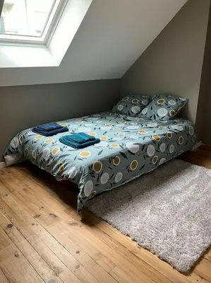 Un ou plusieurs lits dans un hébergement de l'établissement Appartement spacieux en centre ville