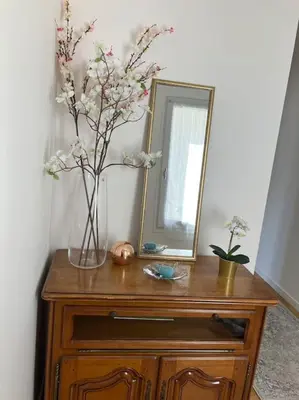 Plan de l'établissement Appartement spacieux en centre ville
