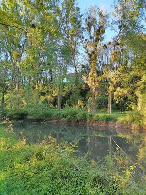 Paysage naturel près de la maison de vacances