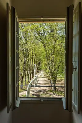 Jardin de l'établissement Château de Conon - Le Château