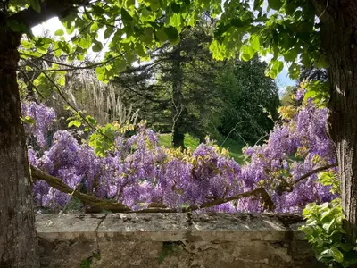 Jardin de l'établissement Le château La Villaine Magnifique château au cœur de la Touraine