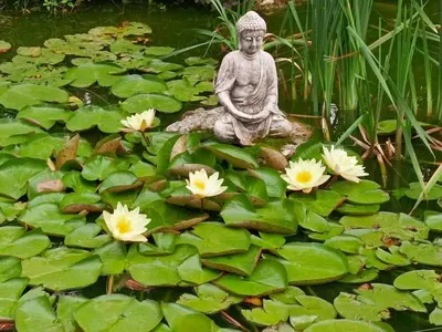 Jardin de l'établissement Gîte tout confort avec grand jardin, cheminée, clim et WIFI, proche châteaux de la Loire et ZooParc de Beauval - FR-1-491-400