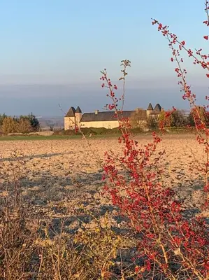 Paysage naturel près de la maison de vacances