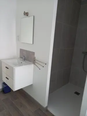 Salle de bains dans l'établissement Gîte studio 2 pers Le Bleuet entre Loire et Sologne