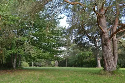 Jardin de l'établissement Gîte Hurlevent