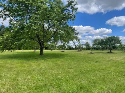 Paysage naturel près de la maison de vacances