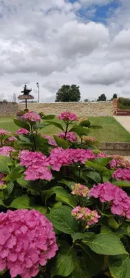 Jardin de l'établissement Gîte de la Fontaine