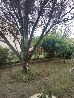 Jardin de l'établissement Les hunaudieres 4 chambres - 4 lits doubles