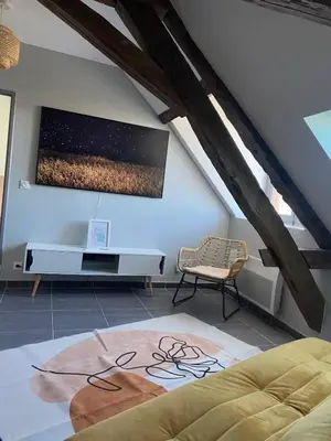 Télévision ou salle de divertissement dans l'établissement Quai de la Loire