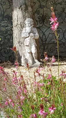 Jardin de l'établissement le logis medicis