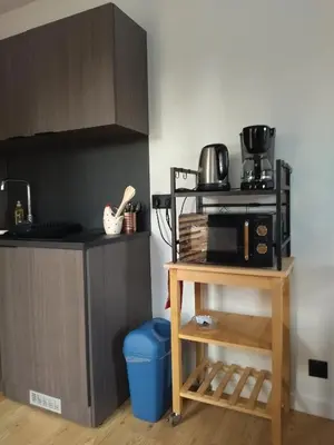 Cuisine ou kitchenette dans l'établissement Au coin des Lilas - Studio 1