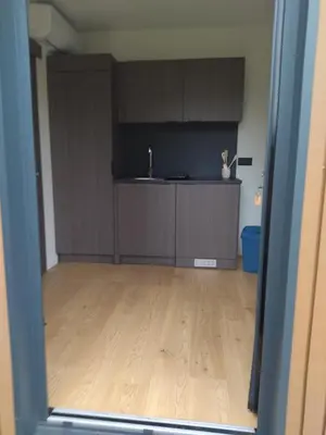 Cuisine ou kitchenette dans l'établissement Au coin des Lilas - Studio 1