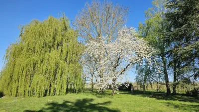 Paysage naturel près de l'appartement
