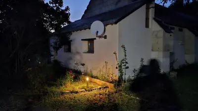 Jardin de l'établissement Domaine des Moizons, Le Figuier