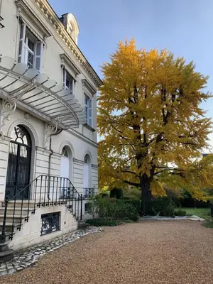 Jardin de l'établissement A l'abri du Ginkgo
