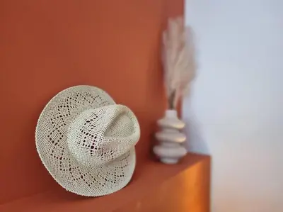 Plan de l'établissement Maison cosy aux portes de Tours