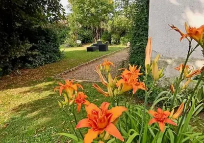 Jardin de l'établissement LE JARDIN DE LA PICHONNERIE Chambres d'hôtes