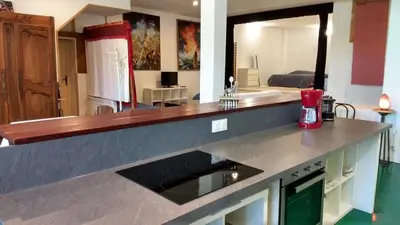 Cuisine ou kitchenette dans l'établissement Logement spacieux et original proche gare au RDC