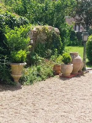 Jardin de l'établissement Maison de maître Azay Le Rideau - 8 personnes