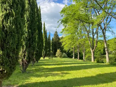 Jardin de l'établissement Maison de maître Azay Le Rideau - 8 personnes